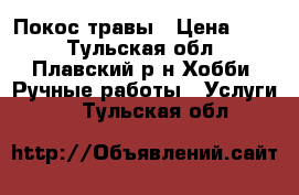 Покос травы › Цена ­ 10 - Тульская обл., Плавский р-н Хобби. Ручные работы » Услуги   . Тульская обл.